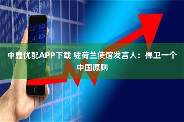 中鑫优配APP下载 驻荷兰使馆发言人：捍卫一个中国原则
