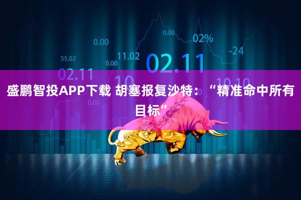 盛鹏智投APP下载 胡塞报复沙特：“精准命中所有目标”